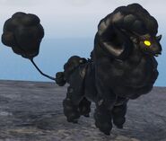 Melanistic Cottol