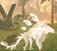 Old Leucistic female Emphines