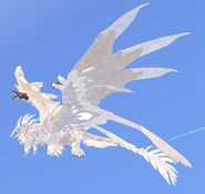 Leucistic male Etheralotus