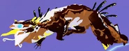Piebald Zokzis
