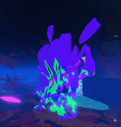 Bewitched Caldonterrus
