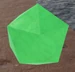 SeaSeed