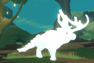 Albino Therolachus