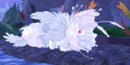 Albino Furnilixii