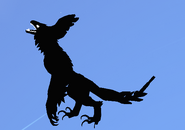Shadow male Prabiki