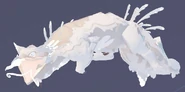 Leucistic Zokzis