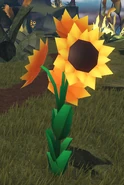 HarvestEvent2024Decor3.png (242 KB) Sunflowers decor 2