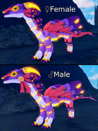 Adult Zoocuu