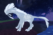 Old Albino Gloracus