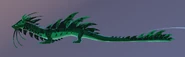 Old Emerald male Auraron