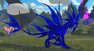 Sapphire female Gloracus