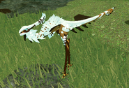 Piebald Khiku
