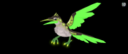 Old Glimmer female Kiiwin