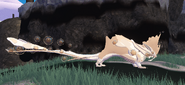 Leucistic Gryvila