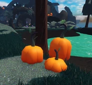 Pumpkin decor