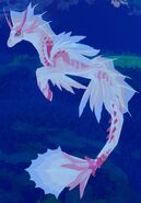 Adult female Koipise