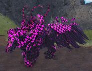 Fools Error female Aseliorus