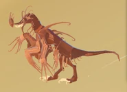 Fool's Gold Garra Warden