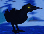 Old Melanistic Kiiwin