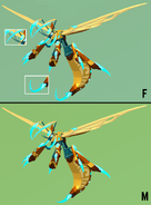 Dimorphism between male and female Dabaemura