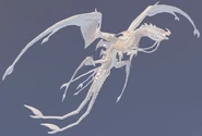 Leucistic Zakaiodrak