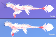 Healdess + Glimmer Koipise