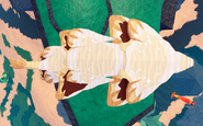 Teen Cupuere, top view