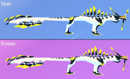 Old Shimmer + Glimmer Magnarothus