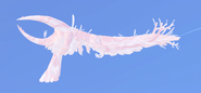 Pearl male Tornir