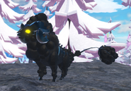 Previous model Melanistic Cottol
