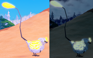 Glimmer male Puffwump day/night
