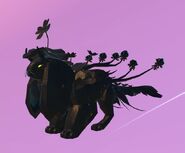Melanistic female Clovilowper