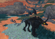 Old Melanistic male Emphines