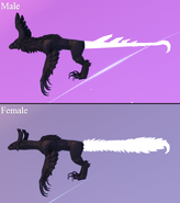 Custom Glow Tail Prabiki, highlighted
