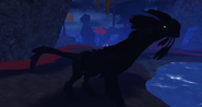 Old Melanistic Gloracus
