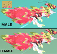 Dimorphism between male and female Doragonix