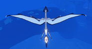 Glow Tail Pterolythux