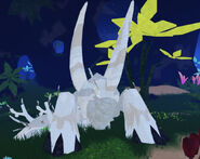 Leucistic Tornir