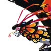 MomolaOCIcon