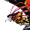 MomolaOCIcon