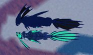 Dwarfism Nindyr, top view