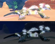 Glimmer female Aueko day/night