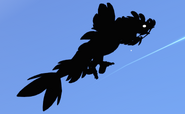 Shadow Koini