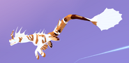 Old Piebald Koipise
