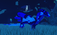 Sapphire female Zoocuu