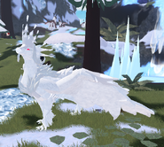 Albino female Erridea