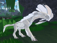 Old Leucistic Gloracus