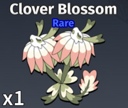 CloverBlossom