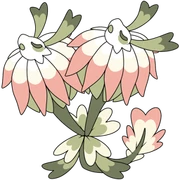 CloverBlossom