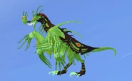 Clover Garra Warden